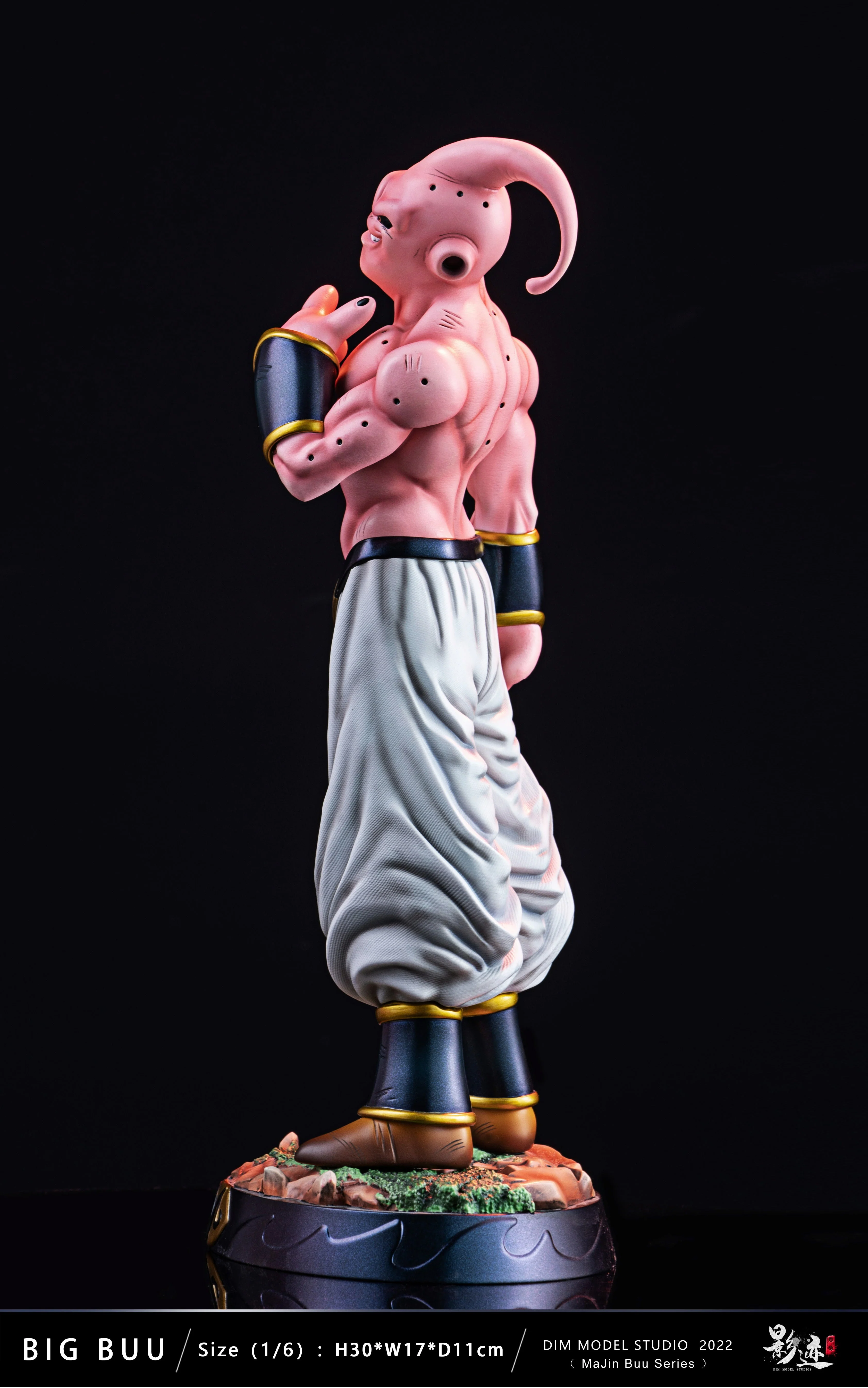 DIM - Super Buu - Image 6