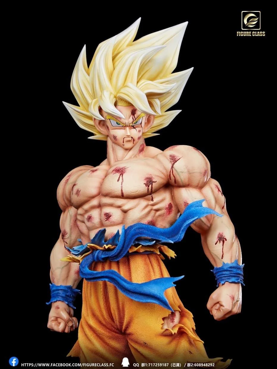 Figure Class - SSJ Goku Namek - Image 16