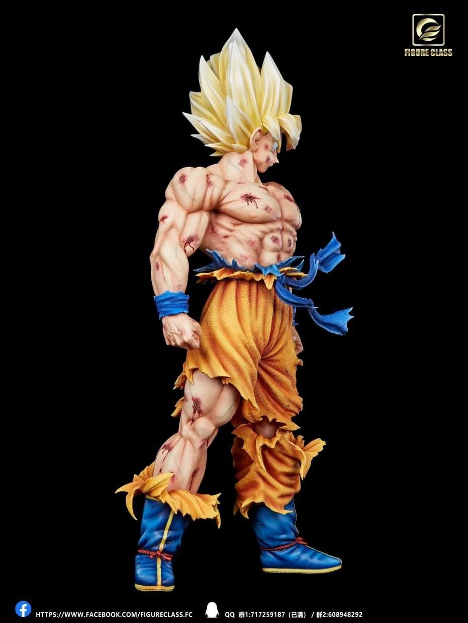 Figure Class - SSJ Goku Namek - Image 21