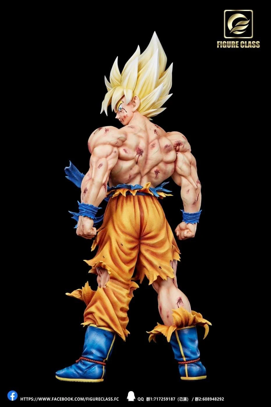 Figure Class - SSJ Goku Namek - Image 25