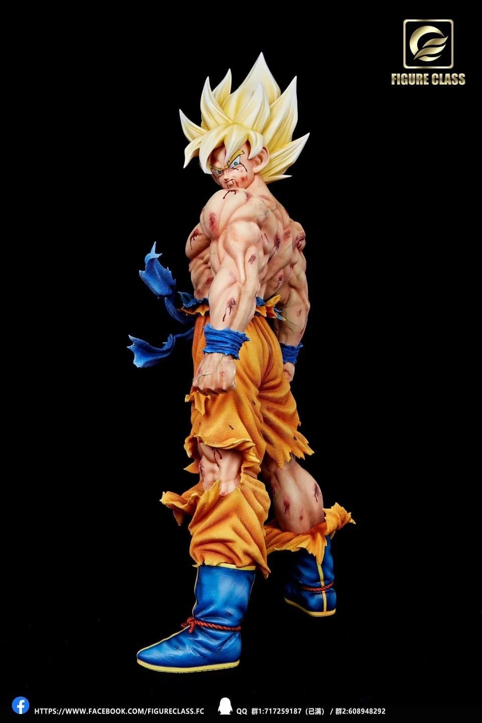 Figure Class - SSJ Goku Namek - Image 27