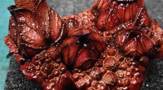 Real World - Megumi - Image 17